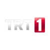 Trt 1